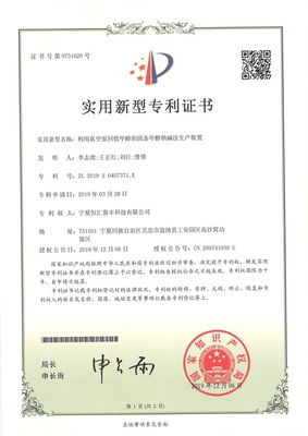 利用真空泵回收甲醇的固态甲醇钠碱法生产装置